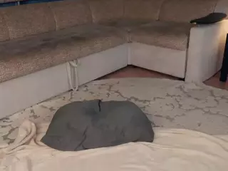 Elwyna's Live Sex Cam Show
