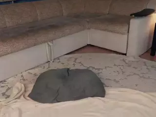 Elwyna's Live Sex Cam Show