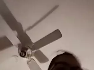 FoxELeigh's Live Sex Cam Show