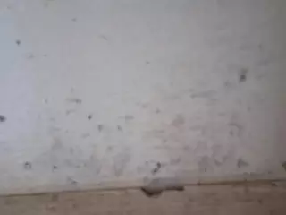 Xbeauty92's Live Sex Cam Show