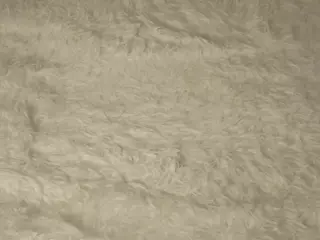 MayGuy's Live Sex Cam Show
