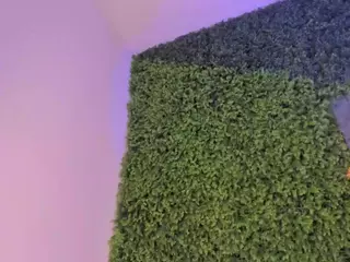 emmily-z's Live Sex Cam Show