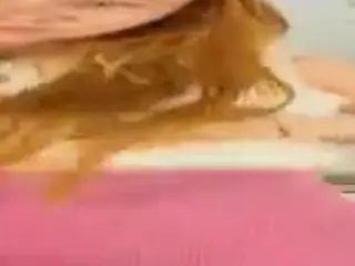 PetraEddie's Live Sex Cam Show