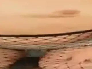 PetraEddie's Live Sex Cam Show