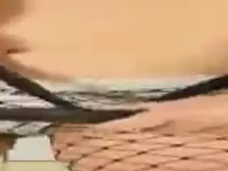 PetraEddie's Live Sex Cam Show