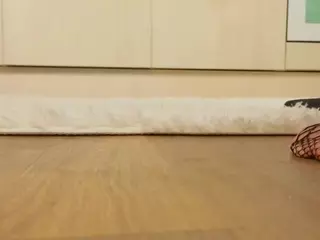 PetraEddie's Live Sex Cam Show