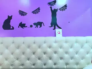 StacyAndJeremmy's Live Sex Cam Show