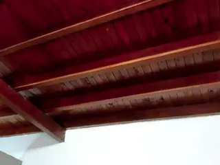 Afrodita-Roos's Live Sex Cam Show