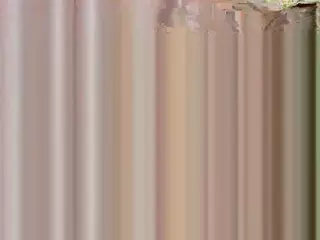 ElwynaHiatt's Live Sex Cam Show