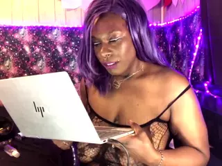 qnibee's Live Sex Cam Show