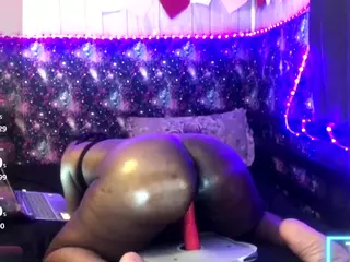 qnibee's Live Sex Cam Show