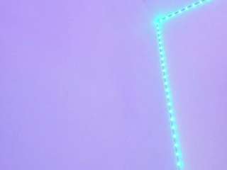 Isabellacruz1