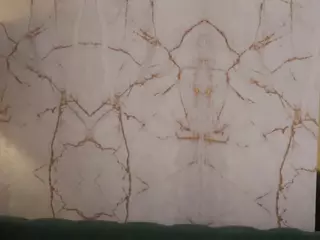 BrightDiamonds's Live Sex Cam Show