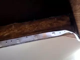 EdaGloss's Live Sex Cam Show