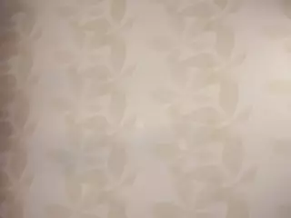 Edith and Juliana's Live Sex Cam Show