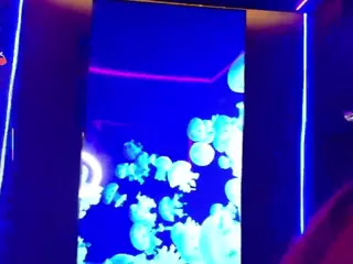 BellatrixSoul's Live Sex Cam Show