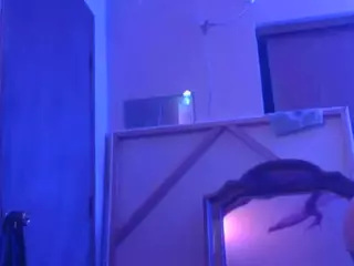 Dazyup4's Live Sex Cam Show