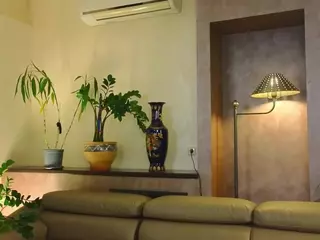 WiloneFrere's Live Sex Cam Show