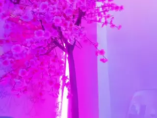 Oliv-Jones's Live Sex Cam Show