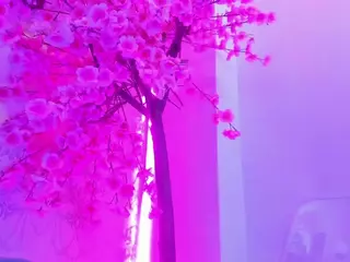 Oliv-Jones's Live Sex Cam Show