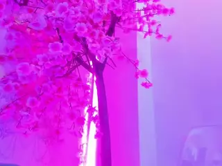 Oliv-Jones's Live Sex Cam Show