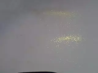 Freakybrula's Live Sex Cam Show