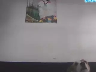 Gemixxmeow's Live Sex Cam Show
