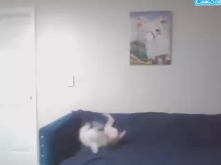 Gemixxmeow's Live Sex Cam Show