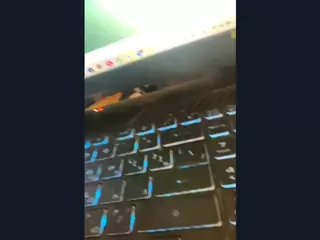 PortiaBruster's Live Sex Cam Show