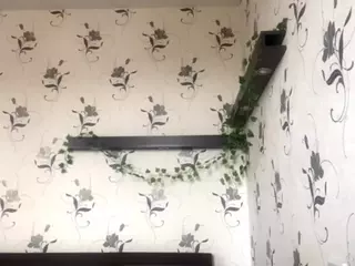 WiloneGrooms's Live Sex Cam Show