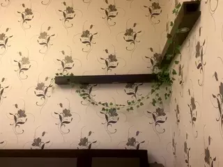 WiloneGrooms's Live Sex Cam Show