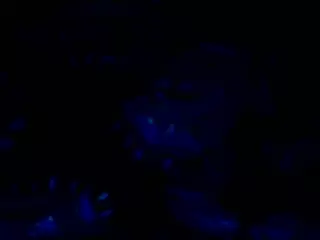 tsunamit3a's Live Sex Cam Show
