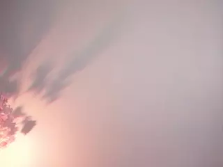 GarynEddie's Live Sex Cam Show