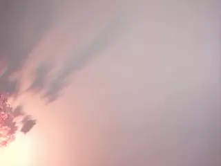 GarynEddie's Live Sex Cam Show