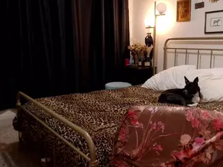 ms.t's Live Sex Cam Show