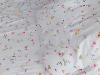 FalineHawkinson's Live Sex Cam Show
