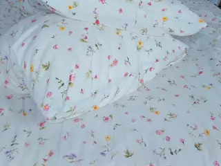 FalineHawkinson's Live Sex Cam Show