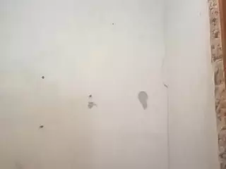 Alina's Live Sex Cam Show