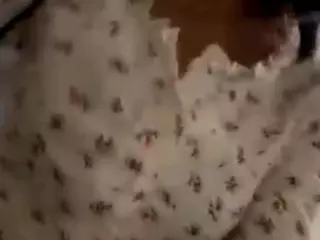 Alisa's Live Sex Cam Show