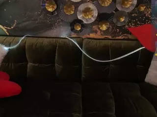 AnimeGirll's Live Sex Cam Show