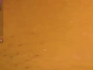 little-beillis's Live Sex Cam Show
