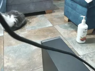 lilithandpatrick's Live Sex Cam Show