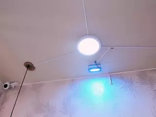 Merialzenith's Live Sex Cam Show