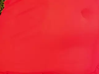 vegaflower's Live Sex Cam Show