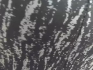 AleshaZaed's Live Sex Cam Show
