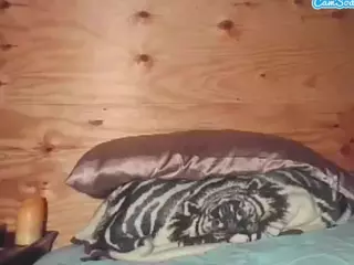 AlexRockerLance's Live Sex Cam Show