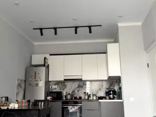Akemi's Live Sex Cam Show