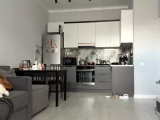 Akemi's Live Sex Cam Show