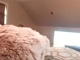 myaMedusa8's Live Sex Cam Show