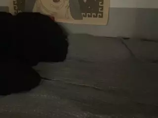 XXXMiamiMilf's Live Sex Cam Show